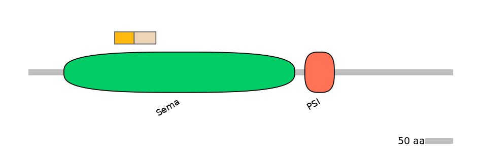 HsaINT0147330-EXC