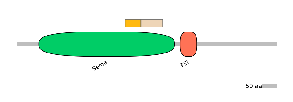 HsaINT0147334-EXC