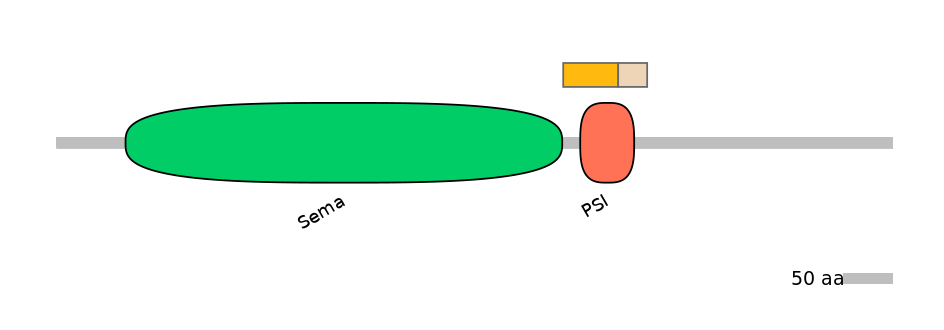 HsaINT0147337-EXC