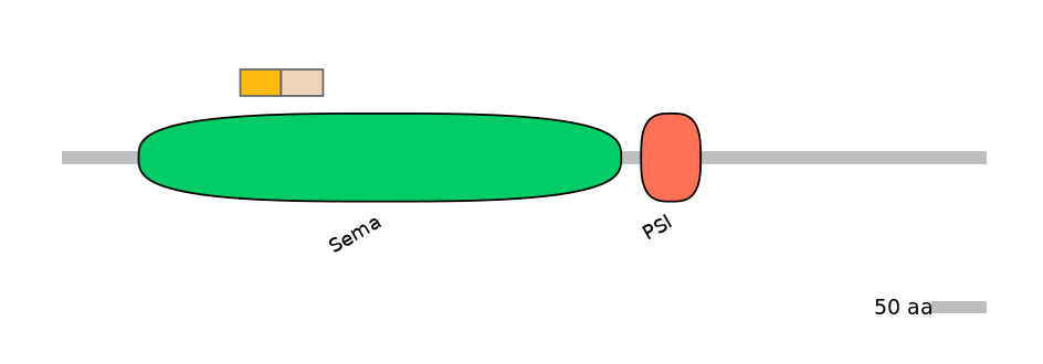HsaINT0147343-EXC