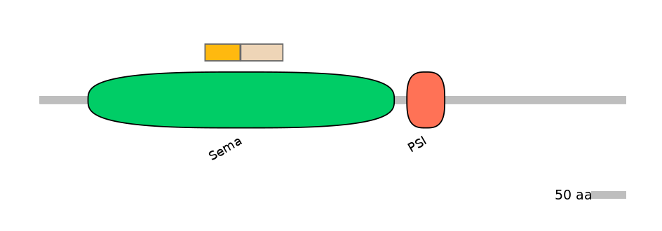 HsaINT0147345-EXC