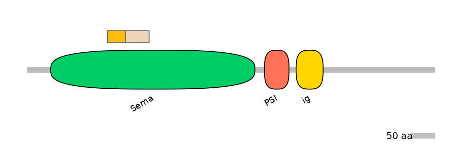 HsaINT0147362-EXC