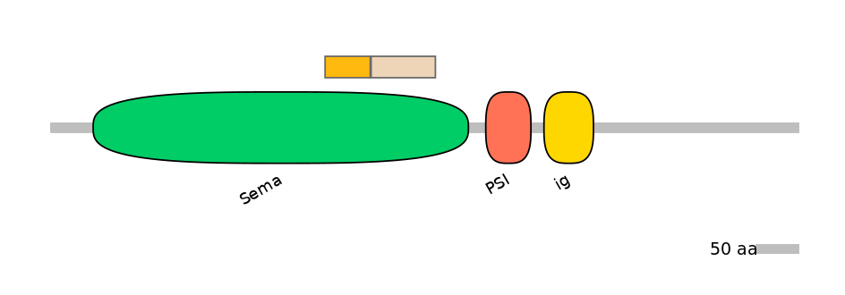 HsaINT0147365-EXC