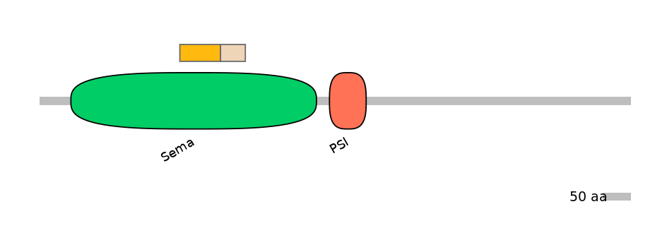 HsaINT0147451-EXC