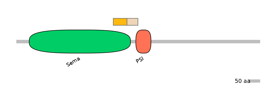 HsaINT0147454-EXC