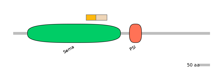 HsaINT0147469-EXC