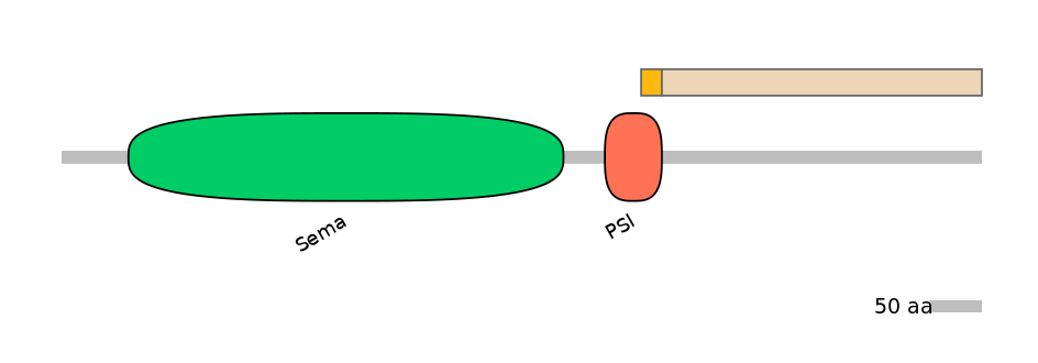 HsaINT0147474-EXC
