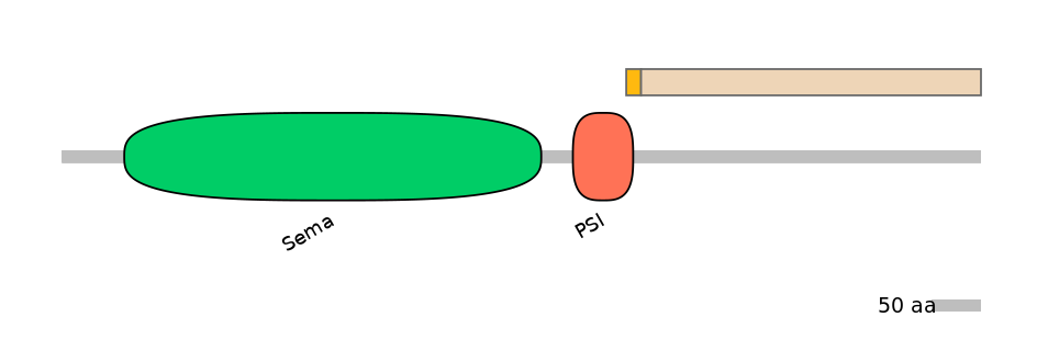 HsaINT0147495-EXC