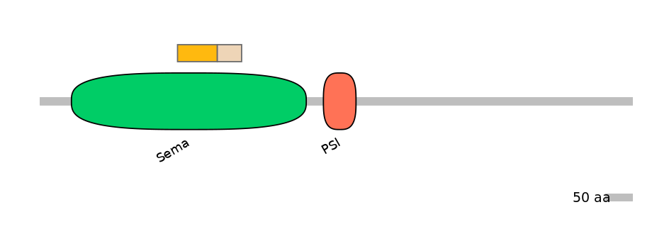 HsaINT0147510-EXC