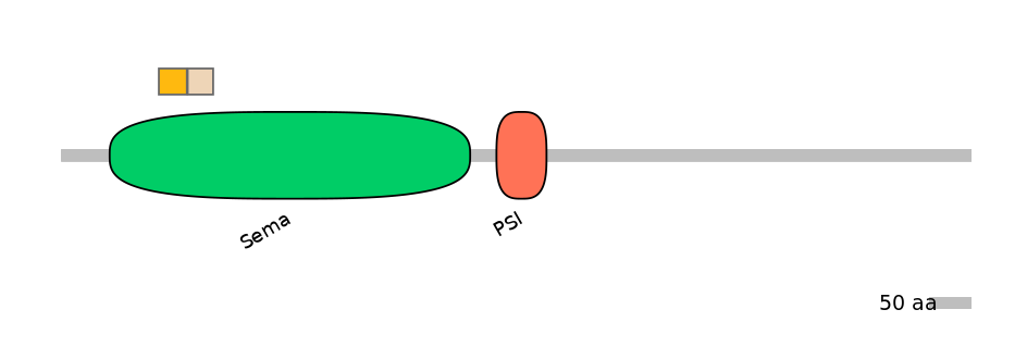 HsaINT0147519-EXC