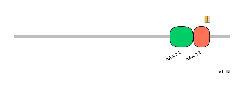 HsaINT0148414-EXC