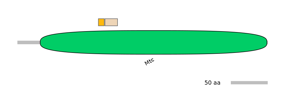 HsaINT0148855-EXC