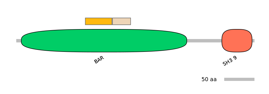 HsaINT0149360-EXC