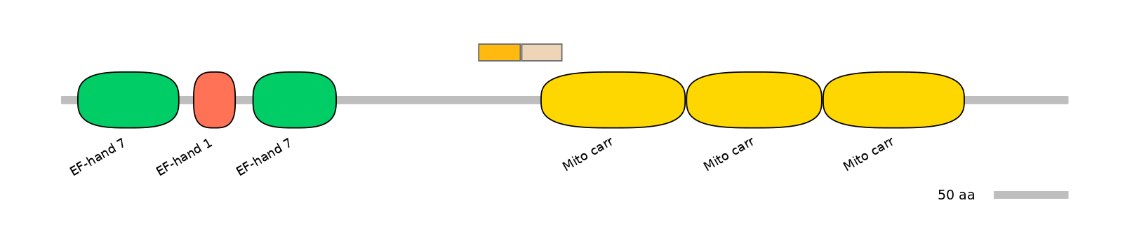 HsaINT0151639-EXC