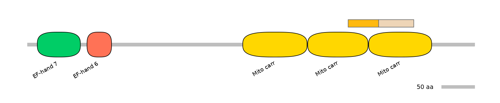 HsaINT0151647-EXC