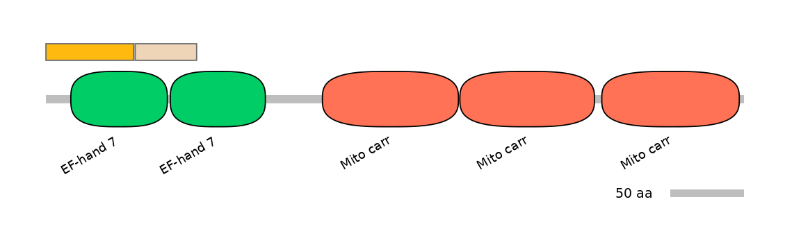 HsaINT0151745-EXC