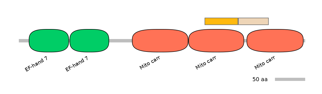 HsaINT0151752-EXC