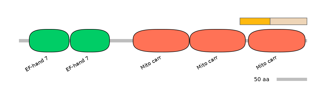 HsaINT0151753-EXC