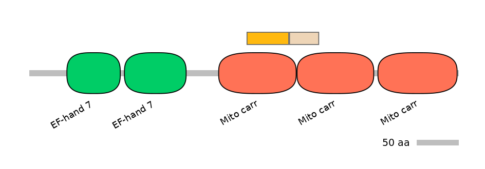 HsaINT0151761-EXC
