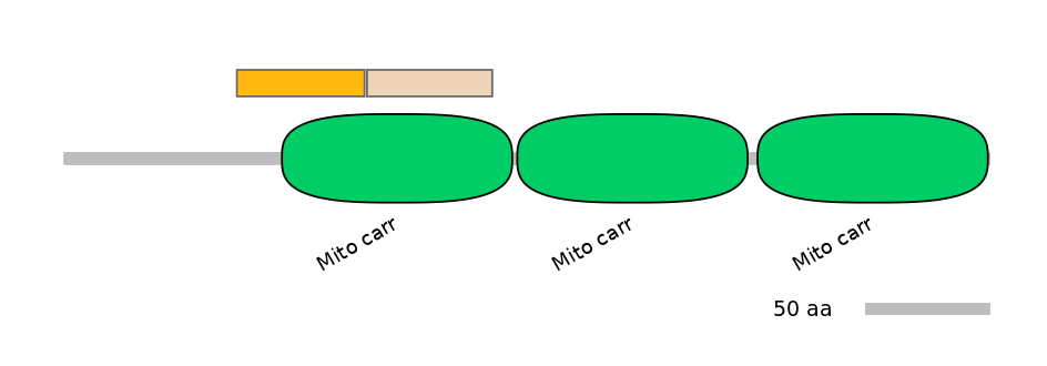 HsaINT0151873-EXC