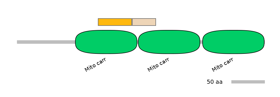 HsaINT0151874-EXC