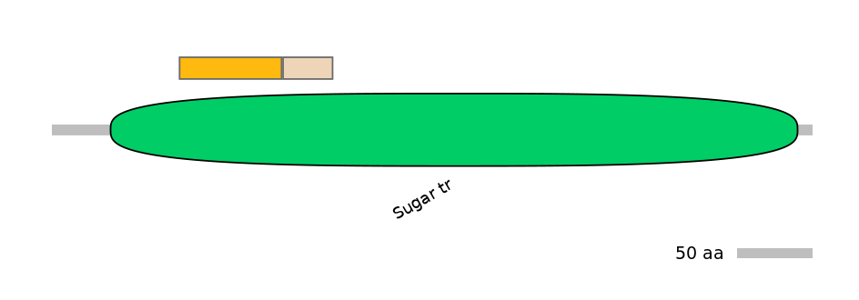 HsaINT0152345-EXC