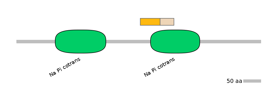 HsaINT0152509-EXC