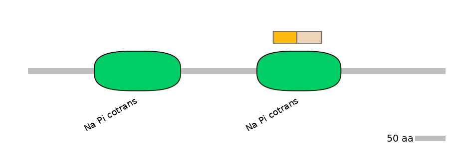 HsaINT0152510-EXC
