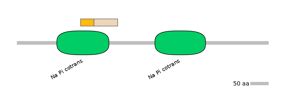 HsaINT0152515-EXC