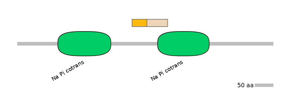 HsaINT0152518-EXC
