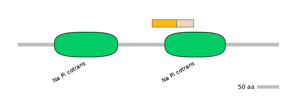 HsaINT0152523-EXC
