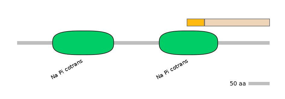 HsaINT0152525-EXC
