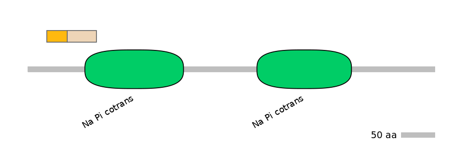 HsaINT0152527-EXC