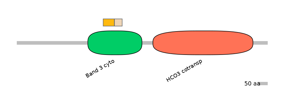HsaINT0153375-EXC
