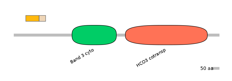 HsaINT0153390-EXC