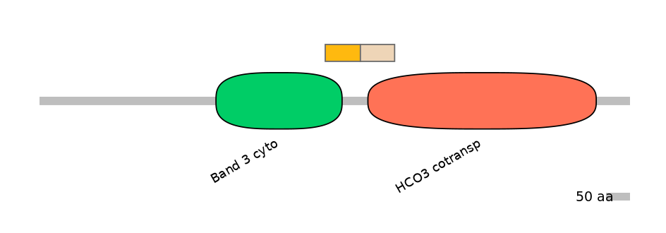 HsaINT0153400-EXC
