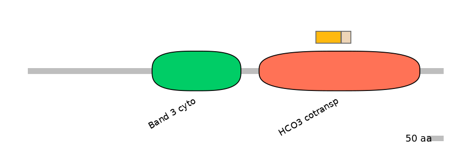 HsaINT0153404-EXC