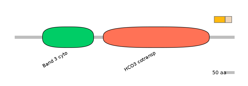 HsaINT0153432-EXC