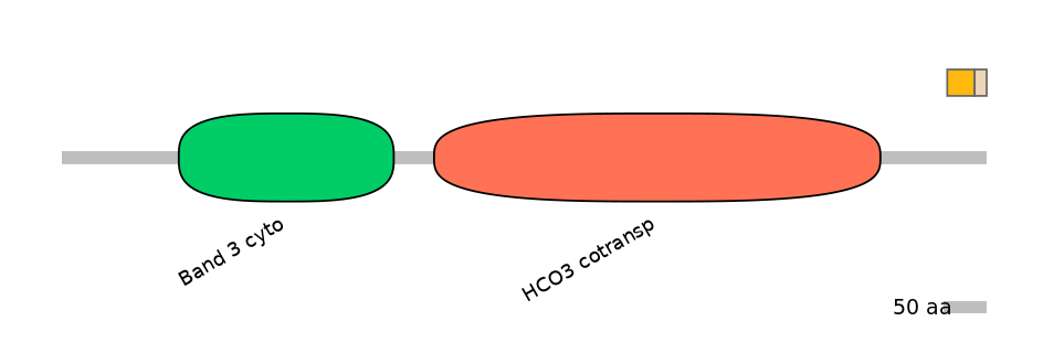 HsaINT0153433-EXC