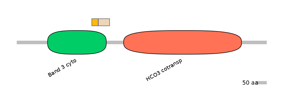 HsaINT0153466-EXC
