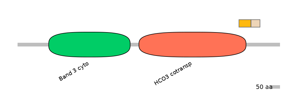 HsaINT0153488-EXC