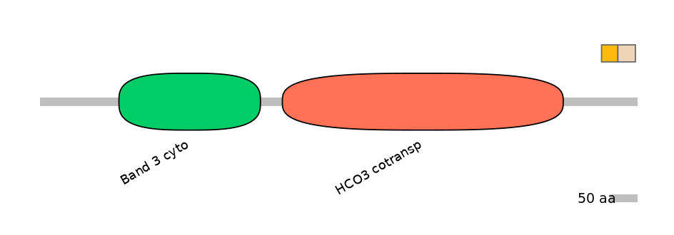 HsaINT0153498-EXC