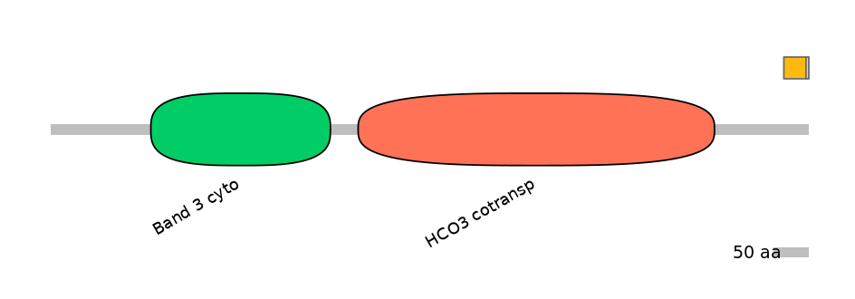 HsaINT0153499-EXC