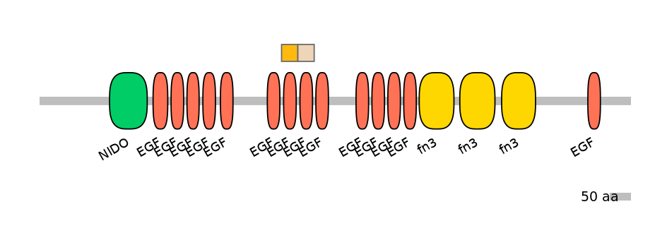 HsaINT0155887-EXC