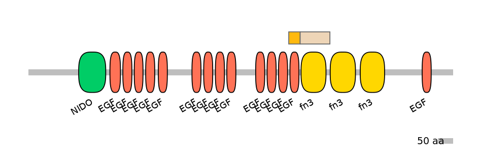 HsaINT0155895-EXC