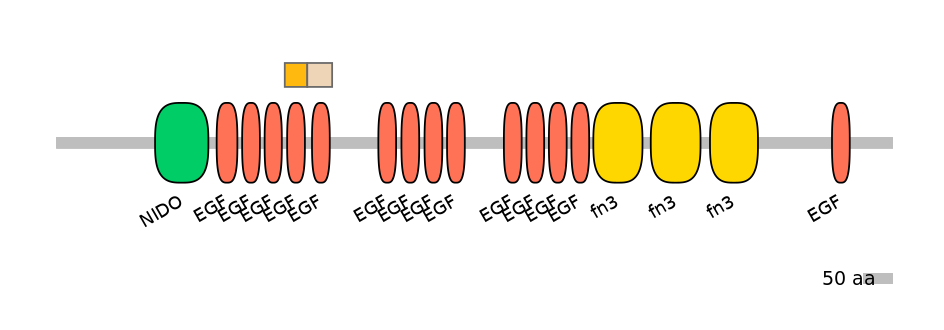 HsaINT0155910-EXC