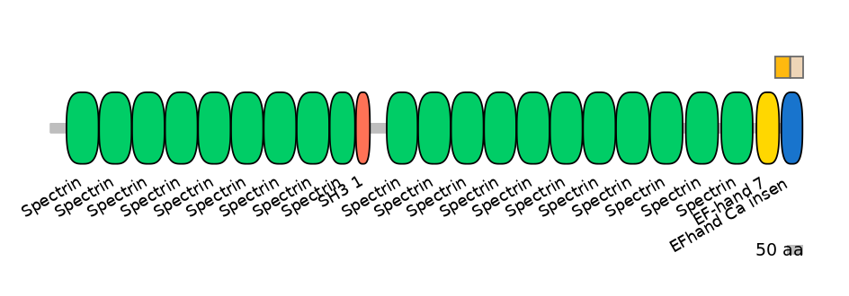 HsaINT0158354-EXC