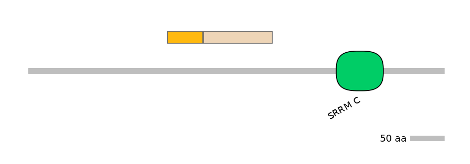 HsaINT0159207-EXC