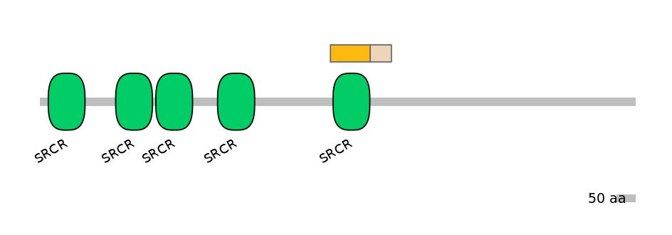 HsaINT0159393-EXC