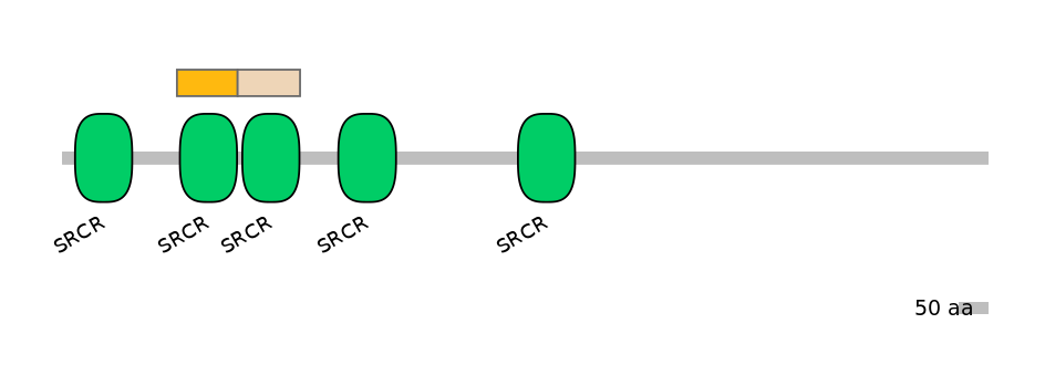HsaINT0159400-EXC